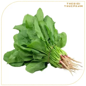 Cải bó xôi sạch nhà vườn Thế Giới Thực Phẩm