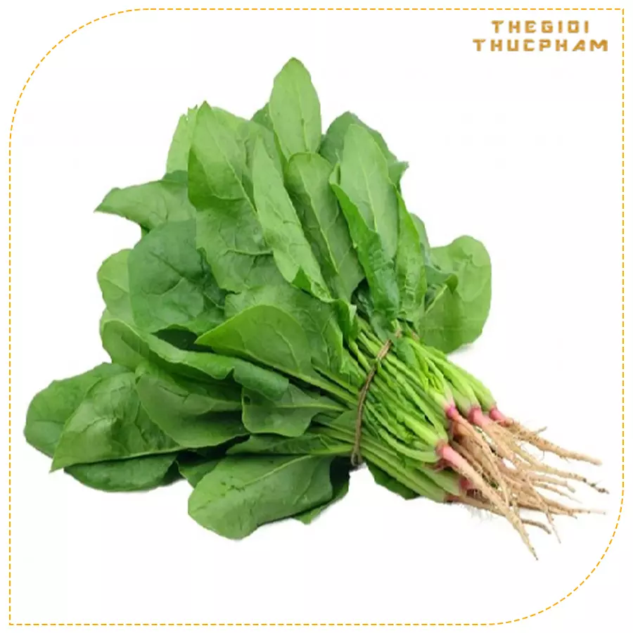 Cải bó xôi sạch nhà vườn Thế Giới Thực Phẩm Cải bó xôi sạch nhà vườn Thế Giới Thực Phẩm