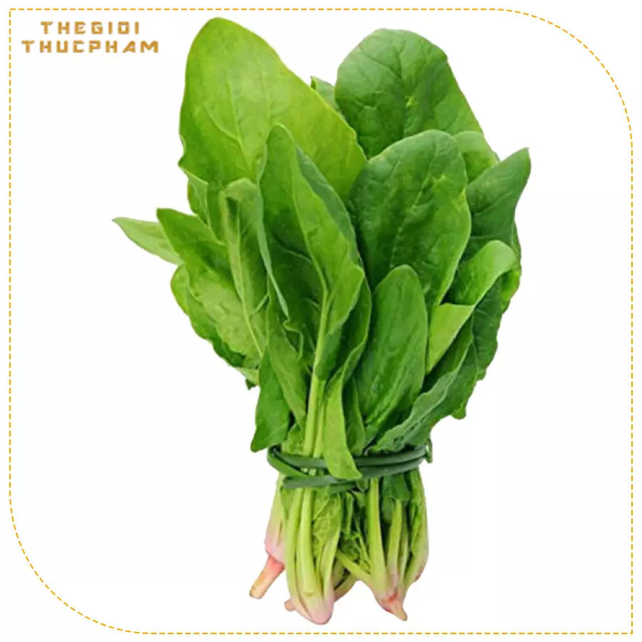 Cải bó xôi sạch nhà vườn Thế Giới Thực Phẩm Cải bó xôi sạch nhà vườn Thế Giới Thực Phẩm
