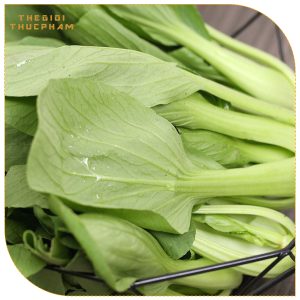 Cải thìa tươi sạch nhà vườn Thế Giới Thực Phẩm