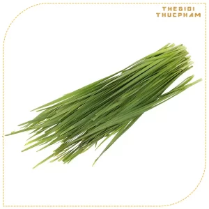 Hẹ lá tươi sạch nhà vườn Thế Giới Thực Phẩm