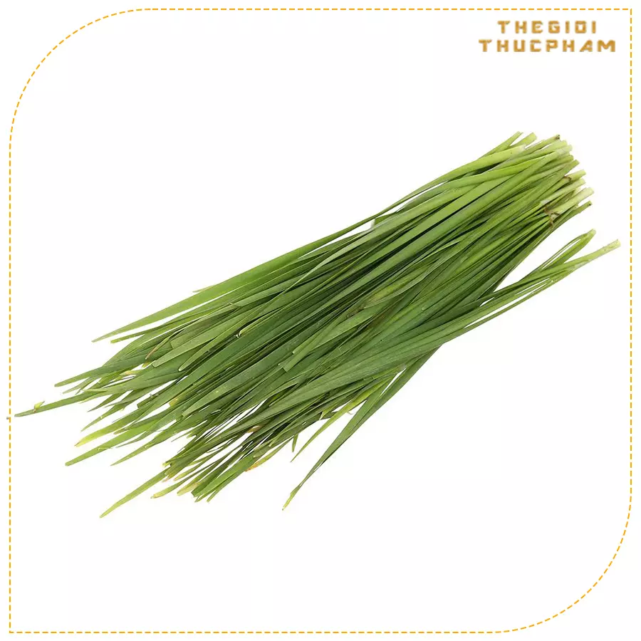 Hẹ lá tươi sạch nhà vườn Thế Giới Thực Phẩm Hẹ lá tươi sạch nhà vườn Thế Giới Thực Phẩm