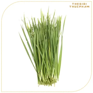 Hẹ lá tươi sạch nhà vườn Thế Giới Thực Phẩm
