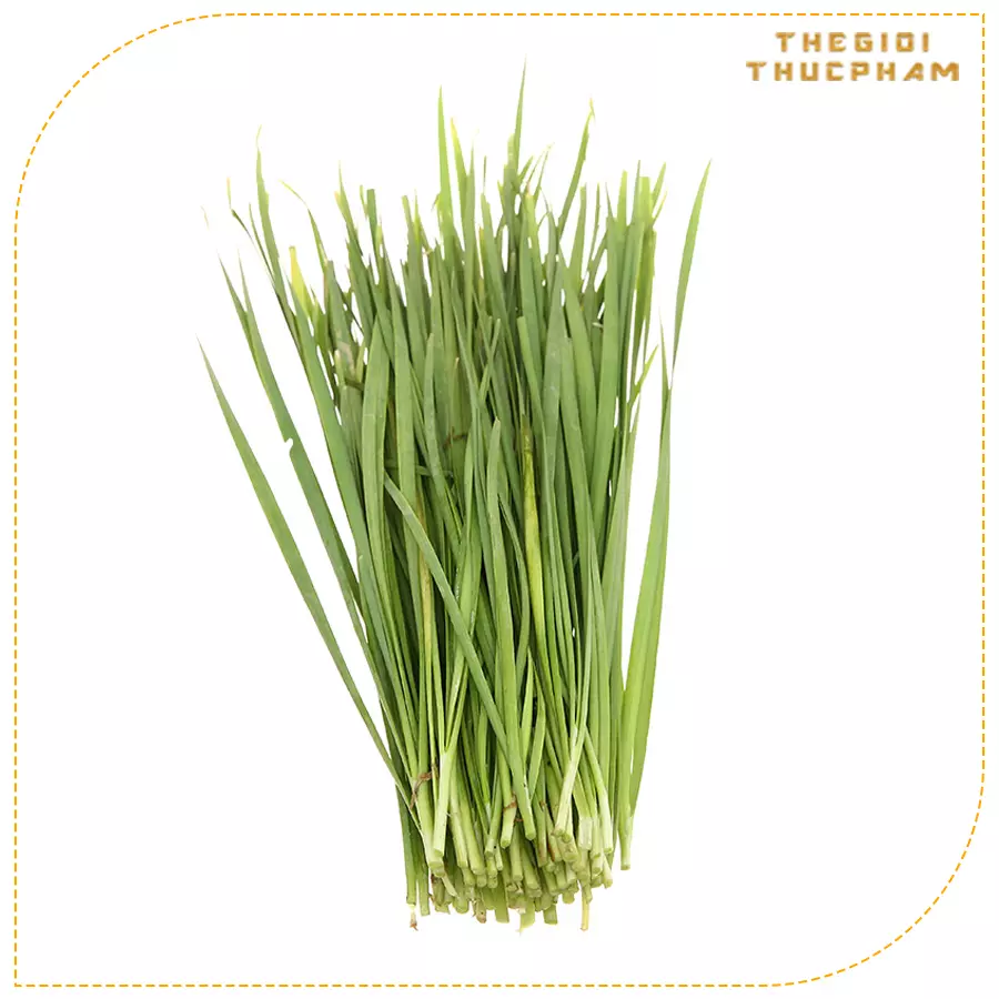 Hẹ lá tươi sạch nhà vườn Thế Giới Thực Phẩm Hẹ lá tươi sạch nhà vườn Thế Giới Thực Phẩm