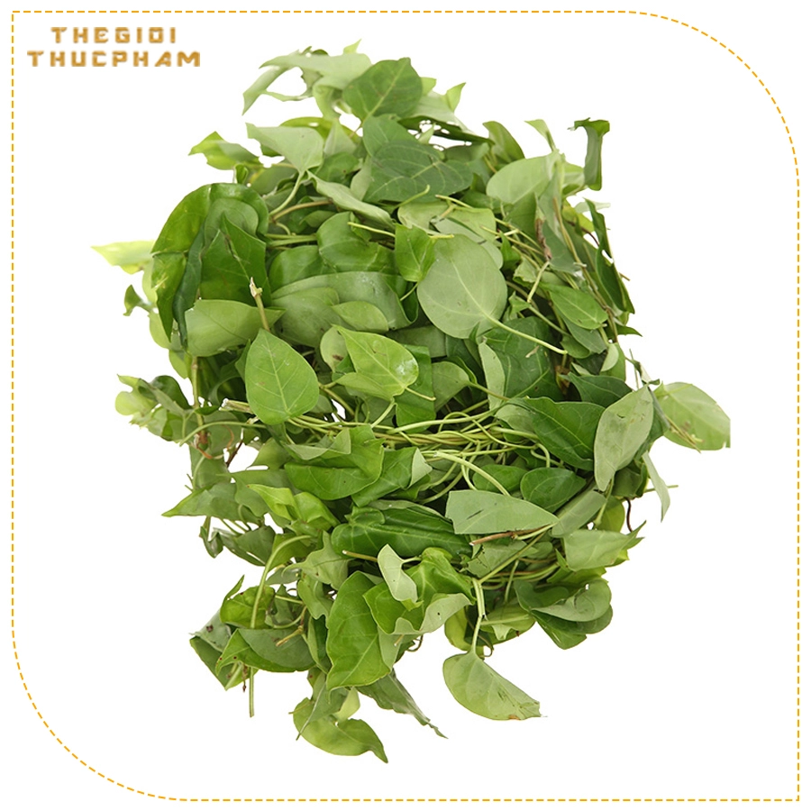 Lá giang tươi sạch nhà vườn Thế Giới Thực Phẩm Lá giang tươi sạch nhà vườn Thế Giới Thực Phẩm