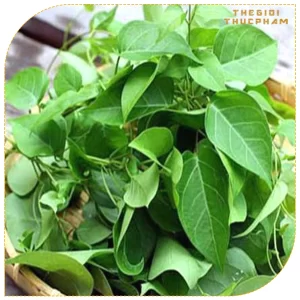 Lá giang tươi sạch nhà vườn Thế Giới Thực Phẩm