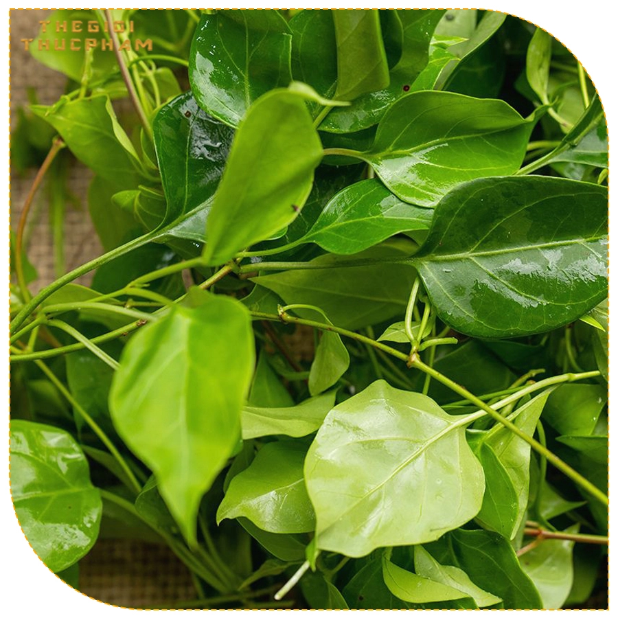 Lá giang tươi sạch nhà vườn Thế Giới Thực Phẩm