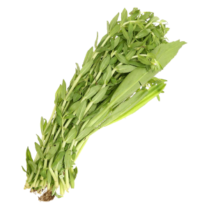 Ngò gai rau om tươi sạch nhà vườn Thế Giới Thực Phẩm