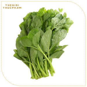 Mồng tơi tươi sạch nhà vườn Thế Giới Thực Phẩm