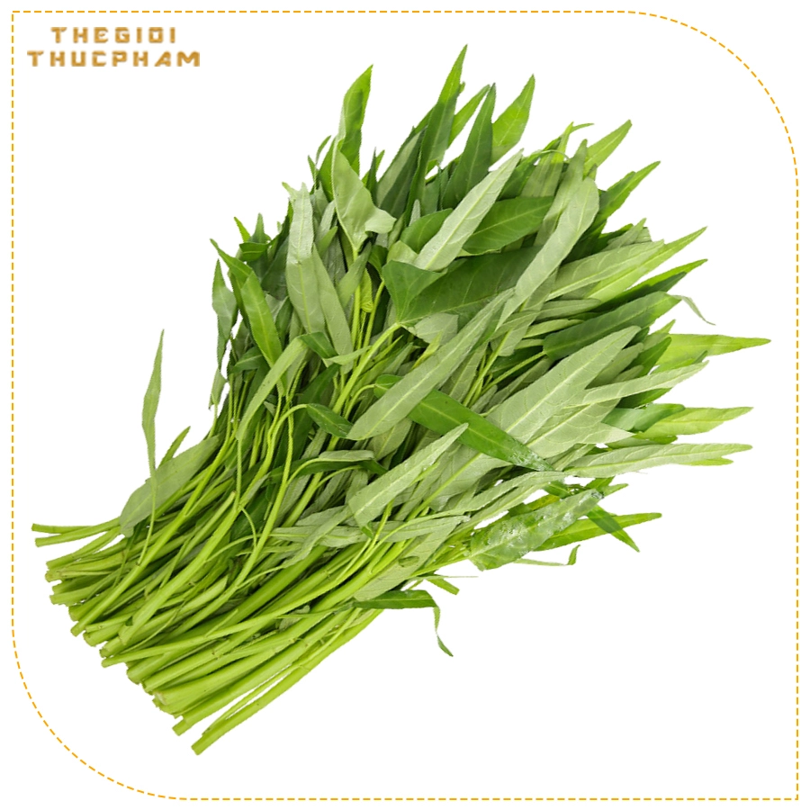 Rau muống baby tươi sạch nhà vườn Thế Giới Thực Phẩm Rau muống baby tươi sạch nhà vườn Thế Giới Thực Phẩm